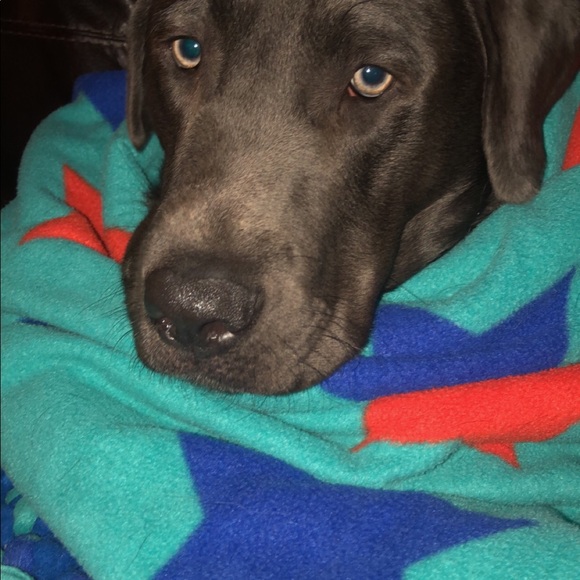 Meet your Posher, Marilyn - Picture 8 of 8